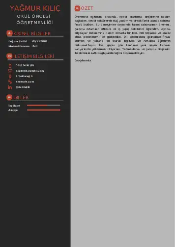 Okul Öncesi Öğretmeni Öğretmenliği Cv Örnekleri cv indir